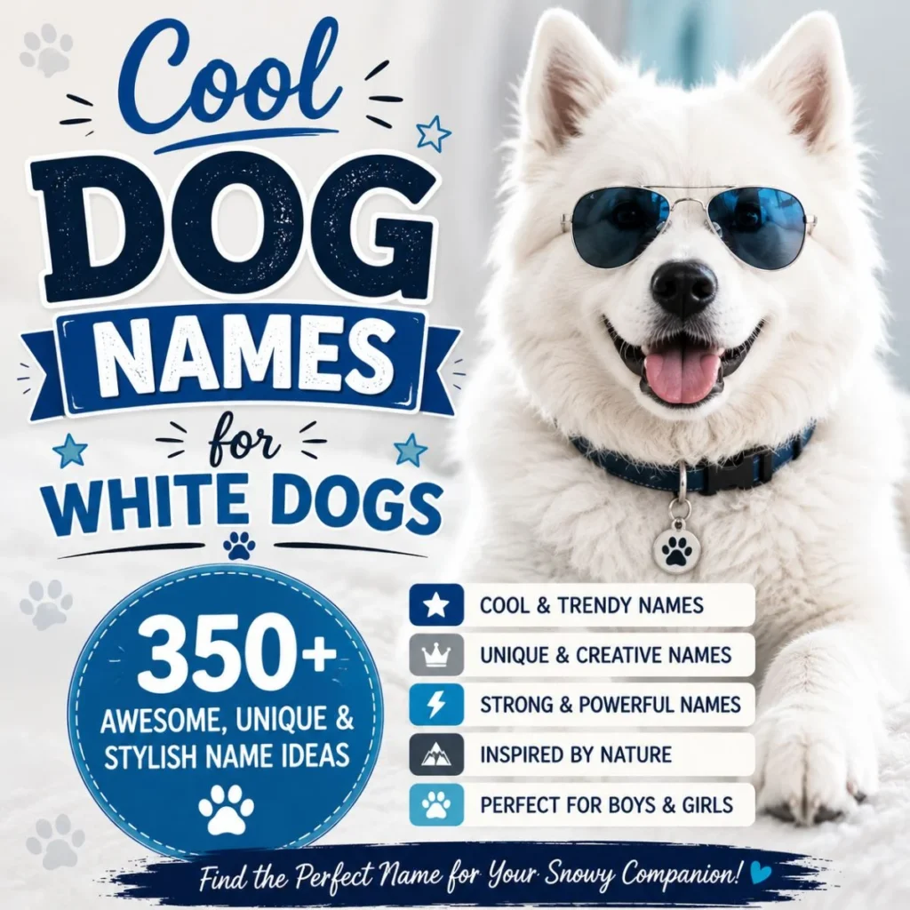 Cool white dog wearing sunglasses with cool dog names for white dogs and 350+ unique, stylish, and trendy name ideas