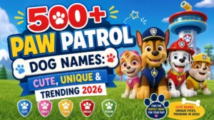 500+ Paw Patrol Dog Names Cute, Unique & Trending 2026
