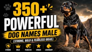 Powerful male dog names banner featuring a strong Rottweiler and bold text for dog naming ideas
