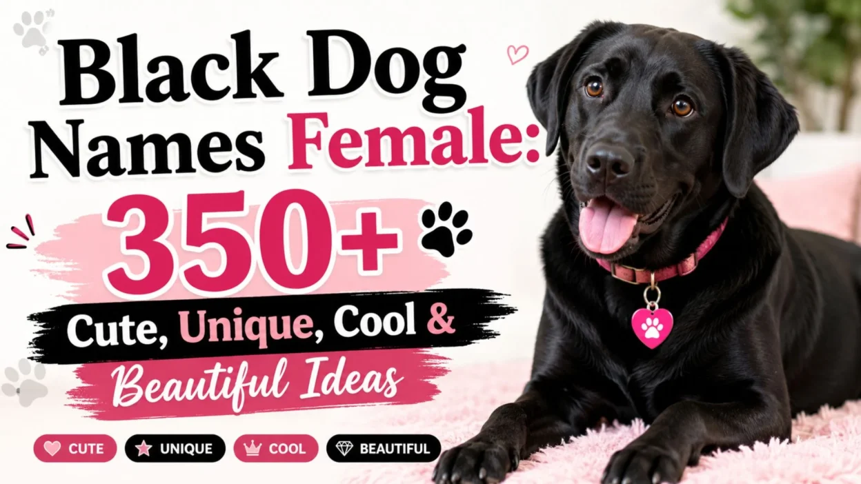 Black female dog with a pink collar beside text about 350+ cute, unique, cool, and beautiful black dog names