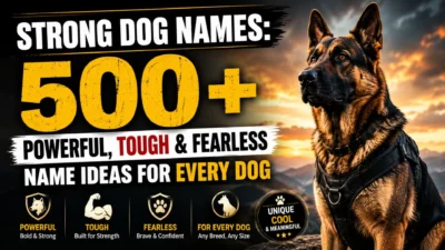 Best Strong Dog Names image featuring a German Shepherd with powerful, tough, and fearless dog name ideas.