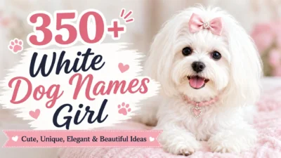 White dog names girl with a fluffy white puppy and cute, unique, elegant, and beautiful female dog name ideas