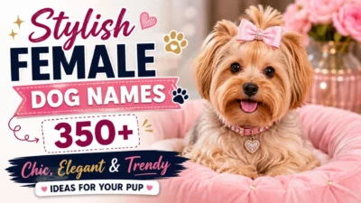 Stylish female dog names featured with a cute Yorkshire Terrier wearing a pink bow on a cozy pink bed.