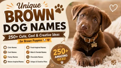 Unique brown dog names featured with an adorable chocolate brown puppy and 250+ cute, cool, and creative name ideas