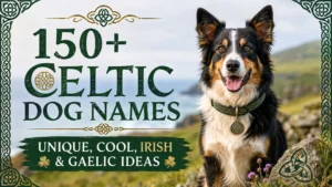 150+ Celtic dog names with unique, cool, Irish and Gaelic ideas beside a Celtic-themed dog