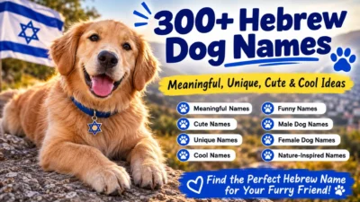 300+ Hebrew dog names featuring meaningful, unique, cute, funny, and cool name ideas