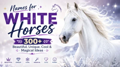 300+ names for white horses featuring beautiful, unique, cool, magical, cute, and funny ideas