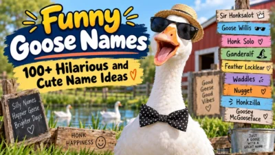 Funny goose wearing sunglasses with hilarious and cute goose name ideas on a colorful farm background
